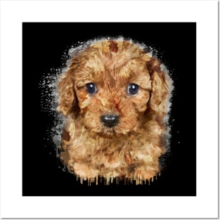 Cavapoo watercolor Posters and Art